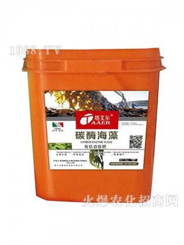 塔艾尔海藻**素